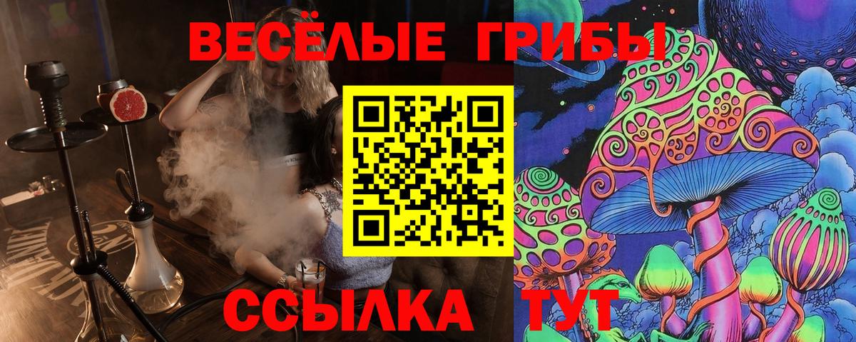 Псилоцибиновые грибы ЛСД Каспийск