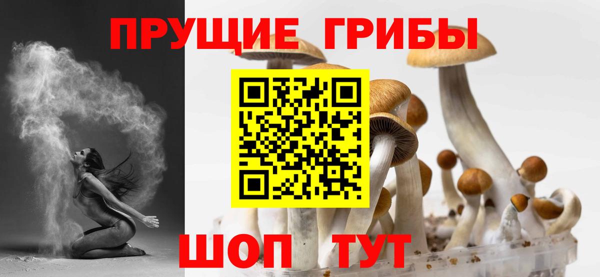 Каспийск  Псилоцибиновые грибы ЛСД  Вход с VPN 